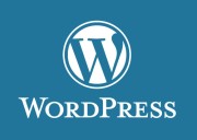 Third Time lucky How I Conquered Wordpress