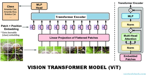 VISION-TRANSFORMER-(VIT)